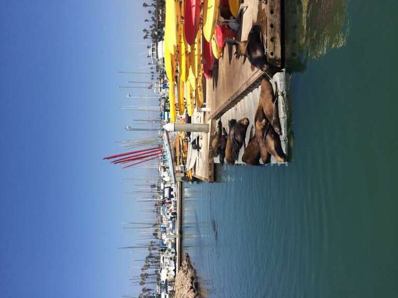 California, USA - August 2016