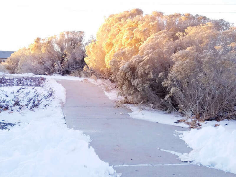 500px provided description: Walk In The Snow [#winter ,#sunshine ,#sidewalk ,#plants ,#golden ,#snow ,#sagebrush ,#Add new keyword]