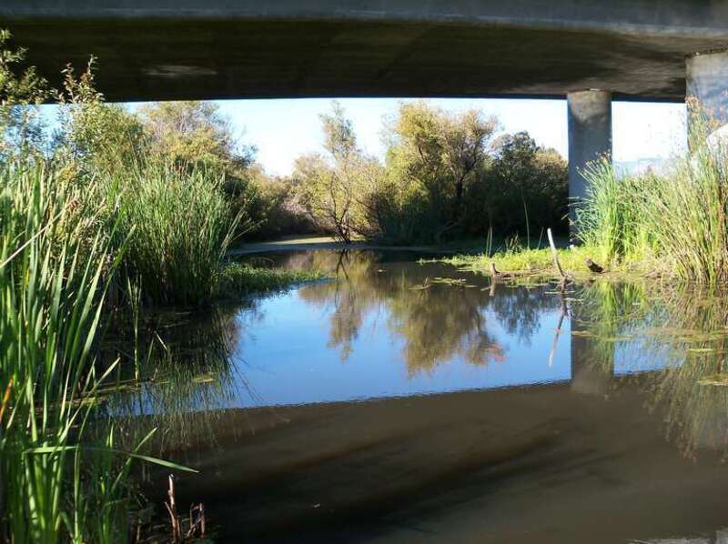 Watsonville Slough.
