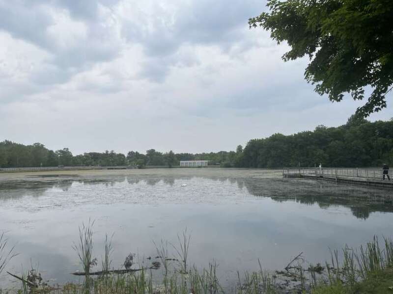 Wilcox Lake in June 2023