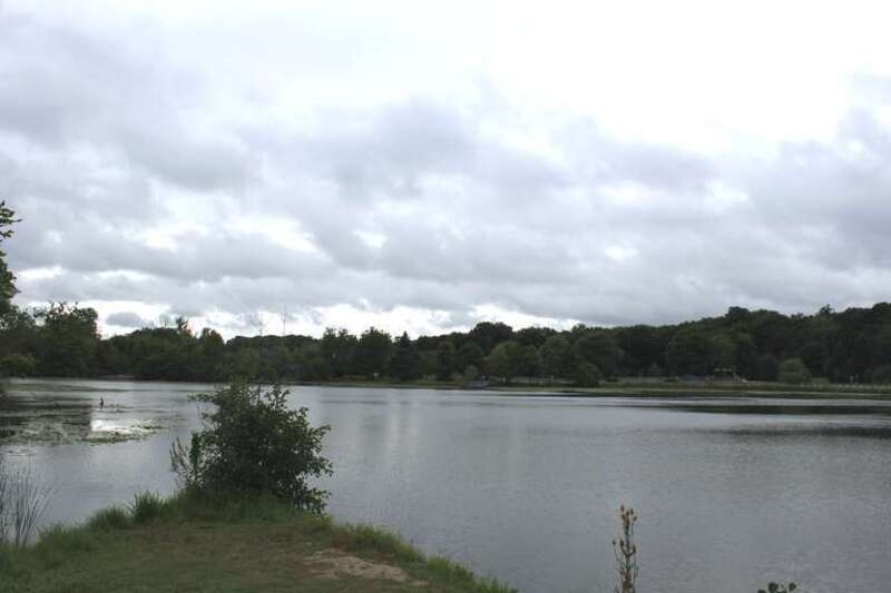 Wilcox Lake, Wilcox Road west of Edward N. Hines Drive