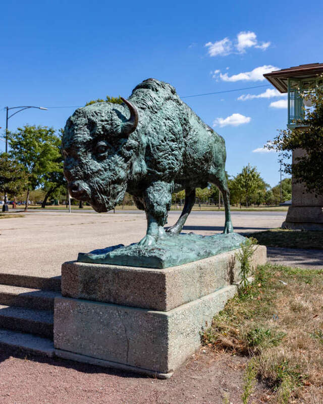 &quot;Edward Kemeys (1843-1907) first produced massive plaster versions of this pair of sculptural bison for the 1893 World's Columbian Exposition in Jackson Park. Kemeys, who also sculpted the Lions in front of the Art Institute of Chicago, was famous