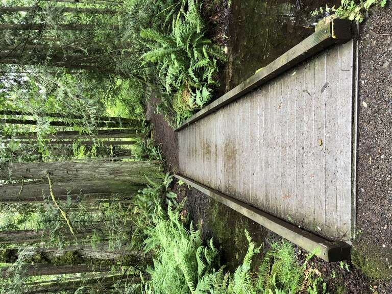 Beaver Lake Park, Sammamish, Washington