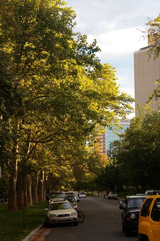Bounded by Capitol Boulevard, A St., 4th Ave. and Canyon Rd
