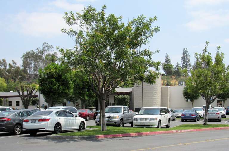 The Pastoral Center for the Catholic Diocese of San Bernardino.