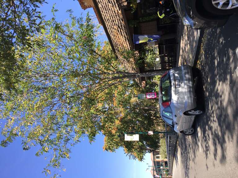 Downtown Pleasanton, California