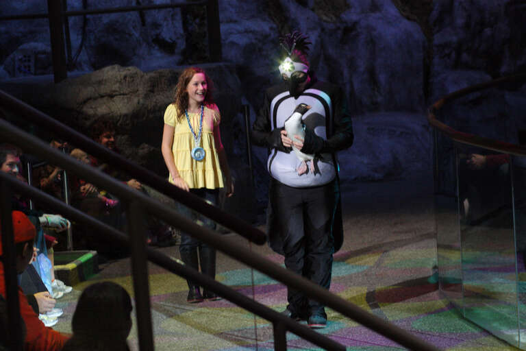 A moment in the November 15, 2009 2:00pm &quot;Fantasea&quot; aquatic show at Shedd Aquarium in Chicago, Illinois, from a set of 55 images.

Camera location41° 52′ 03.47″ N, 87° 36′ 47.71″ W View this and other nearby images on: OpenStreetMap 41.867631;