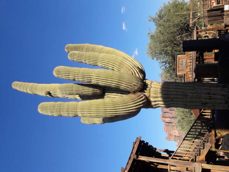 Goldfield Ghost Town, AZ, USA