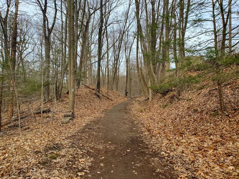 Highland Pond Preserve trail in March 2023