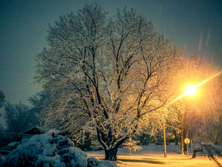 500px provided description: Surprise Snow Storm turns city into snowglobe [#trees ,#winter ,#spring ,#night ,#white ,#snow ,#storm]