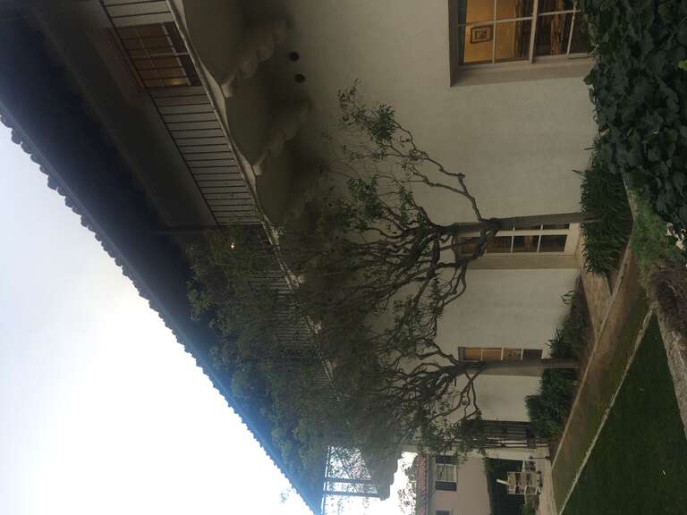 California, USA - December 2016