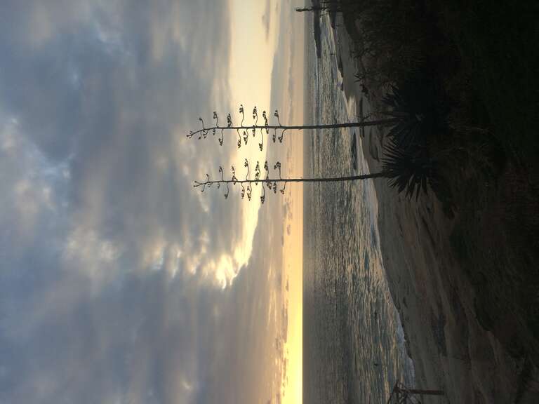 California, USA - May 2016

San Diego