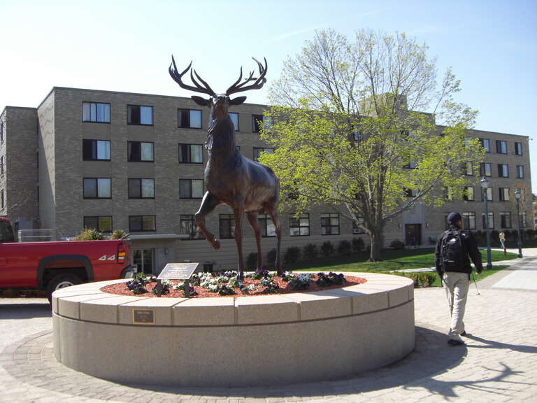 This images was taken on the campus of Fairfield University.