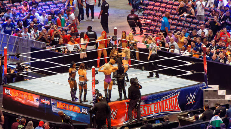 WrestleMania 32 was the thirty-second annual WrestleMania professional wrestling pay-per-view (PPV) event produced by WWE. It took place on April 3, 2016, at AT&amp;amp;T Stadium in Arlington, Texas. Twelve matches were contested on the card (with three