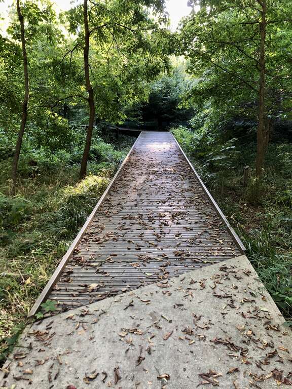 This image depicts a boardwalk path across a floodplain to the Ruth Lilly Visitors Pavilion at the Virginia B. Fairbanks Art &amp;amp; Nature Park: 100 Acres on the Newfields campus in Indianapolis, Indiana, U.S.