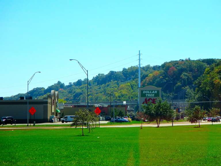 Ace® &amp;amp; Dollar tree