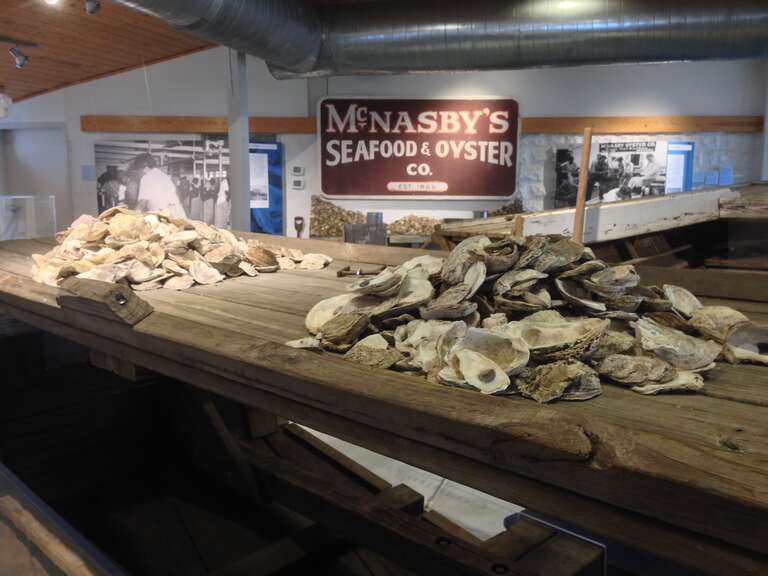 Oyster shells inside of the Annapolis Maritime Museum. The museum was origianlly founded in 1986 as the Eastport Historical Society. It was renamed the Annapolis Maritime Museum in 2000. It is located inside the McNasby Oyster Packing Co. building.