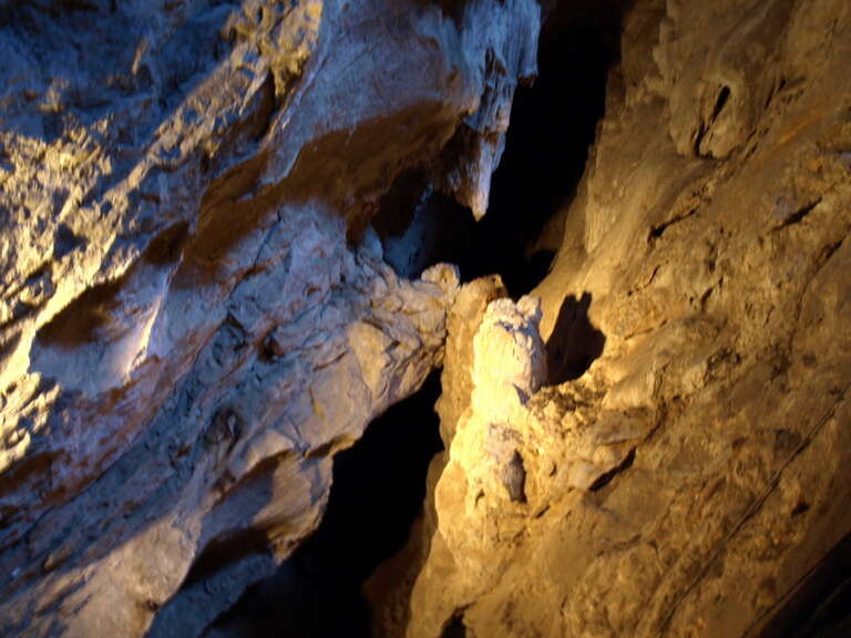 Bats! - Lewis and Clark Caverns
