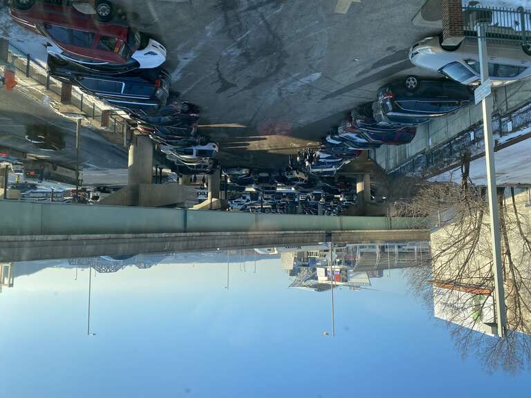 Bengals Super Bowl pep rally