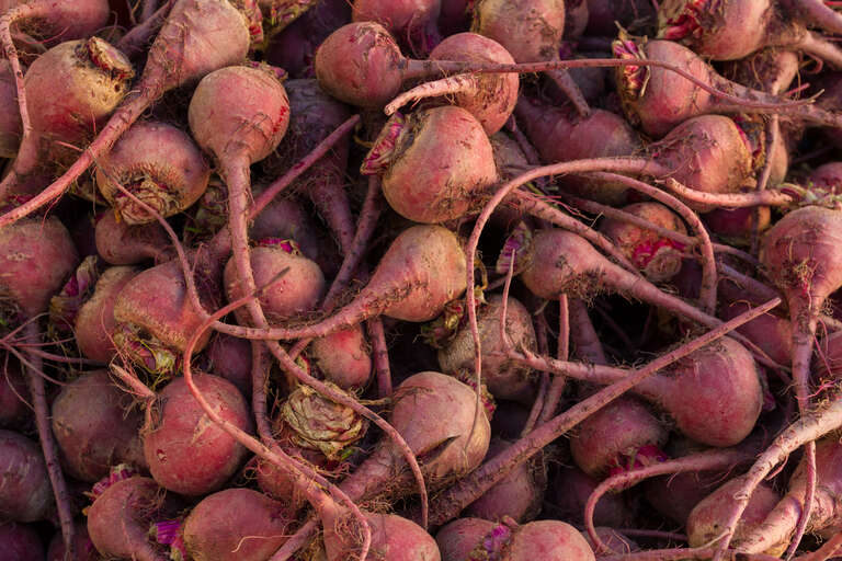 Beets (Beta vulgaris) at the Fort Mason farmers market in San Francisco.