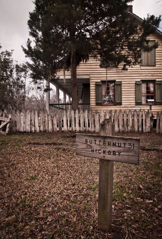 Traditional Cajun house, photographed at the Vermilionville Living History Museum and Folklife Park in Lafayette, Louisiana. As the name suggests, it is an open air museum dedicated to preserving the cultural heritage of the region, namely the Cajun