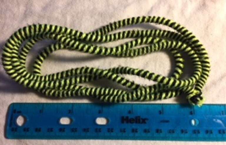 A Chinese jump rope coiled above a ruler.