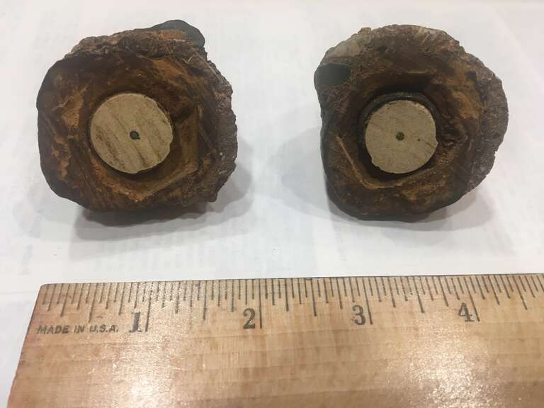 This picture was taken by Pierre Stromberg in 2018 as part of his decades long investigation into the Coso Artifact. The artifact was provided to him for examination by the family of one of the original co-discoverers. After the photograph was taken,