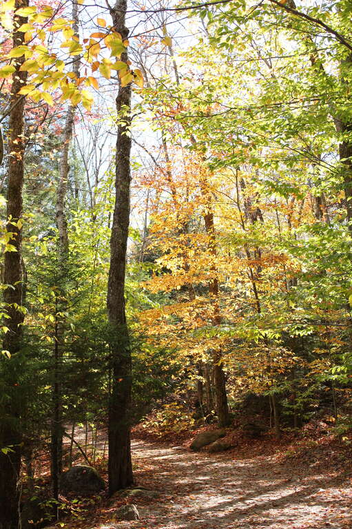 Flume Gorge Trail, Lincoln