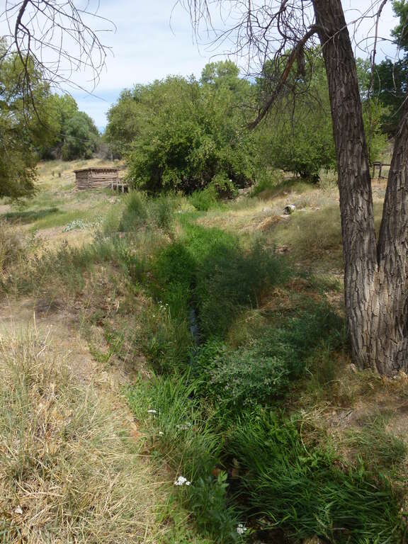 Acequia System of El Rancho de las Golondrinas