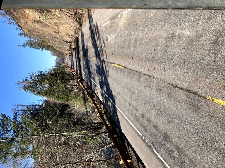 Hazard tree after being cut on a steep vertical slope.