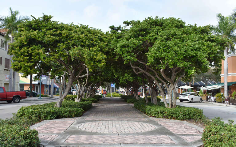 A view of Hollywood Boulevard in Hollywood, Florida, looking toward the Hollywood Boulevard Historic Business District, listed on the National Register of Historic Places. Hollywood Boulevard was the widest paved street in Florida when it opened in