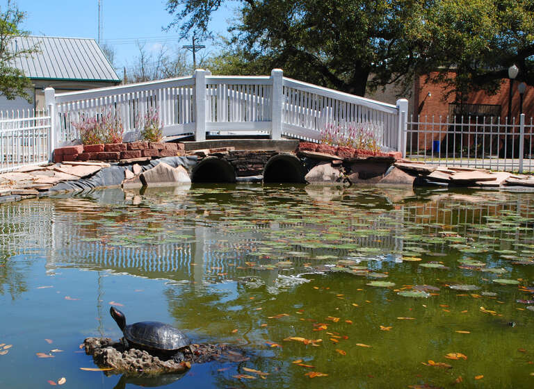 Bridge and Lily Pond in League Park, in League City, Texas, United States.