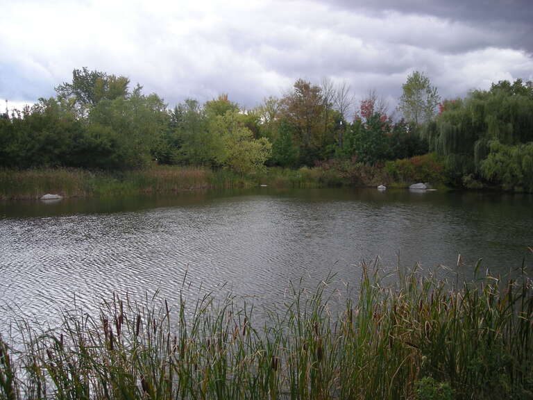 A pond in the Sculpture Park at the Frederik Meijer Gardens &amp;amp; Sculpture Park in Grand Rapids Township, Michigan (United States).