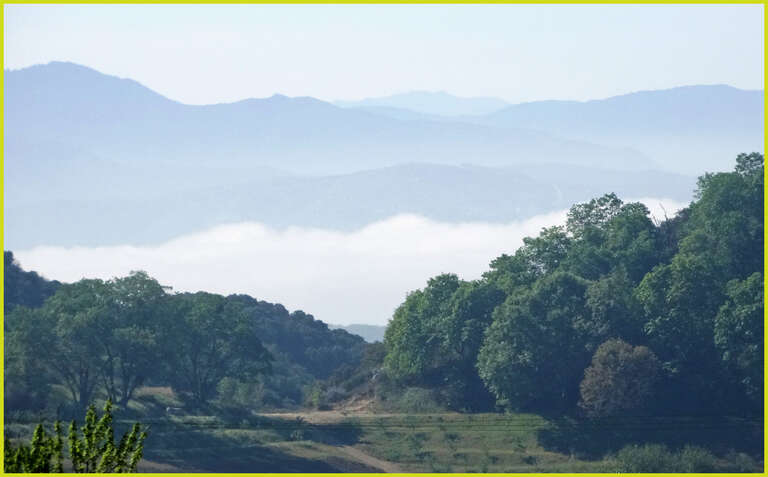 (1 in a multiple picture set)
I was hiking through the apple orchards in Oak Glen, CA, taking pictures of the blooming trees when I looked down into the valley and saw this scene.  It was early morning and the mists had not burned off yet.  Pretty