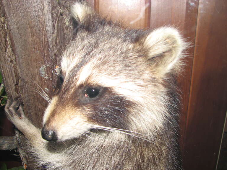 Nature Center and Planetarium in Rock Creek Park (5200 Glover Road Northwest, Washington, DC 20015)
