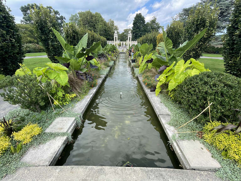 Pond at Untermyer Gardens - 2021
