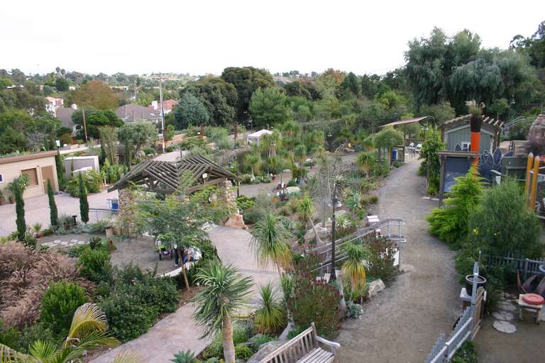 View of the San Diego Botanic Garden (formerly Quail Botanical Gardens) in Encinitas, California.
Object location33° 03′ 17.45″ N, 117° 16′ 46.82″ W View this and other nearby images on: OpenStreetMap 33.054847; -117.279672