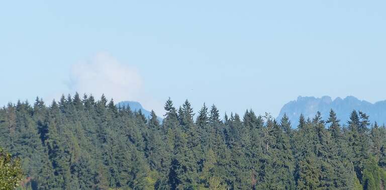 Smoke plume from the Jolly Mountain wildfire visible from the SR 520 bike trail adjacent to Viewpoint Park in Bellevue