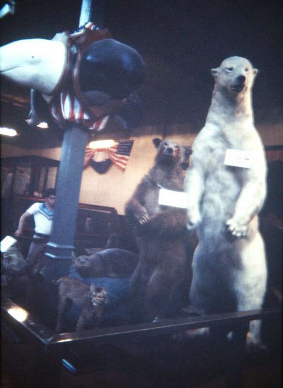 Digital copy of 1978 slide. Arts and Industries Building. Smithsonian Institution, Washington, D.C. Complete indexed photo collection at WorldHistoryPics.com.