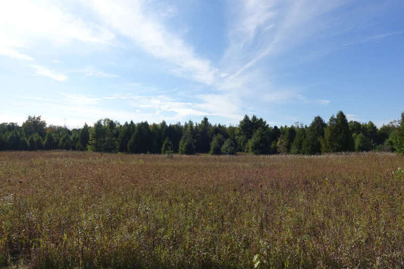 500px provided description: Door County Prarie [#field ,#sky ,#forest ,#clouds ,#summer ,#grass ,#countryside ,#outdoors ,#meadow ,#rural scene ,#non-urban scene ,#country road ,#prairie]