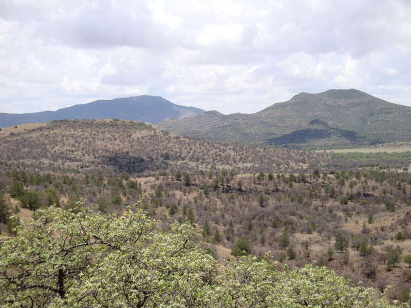 Davis Mountains, Texas