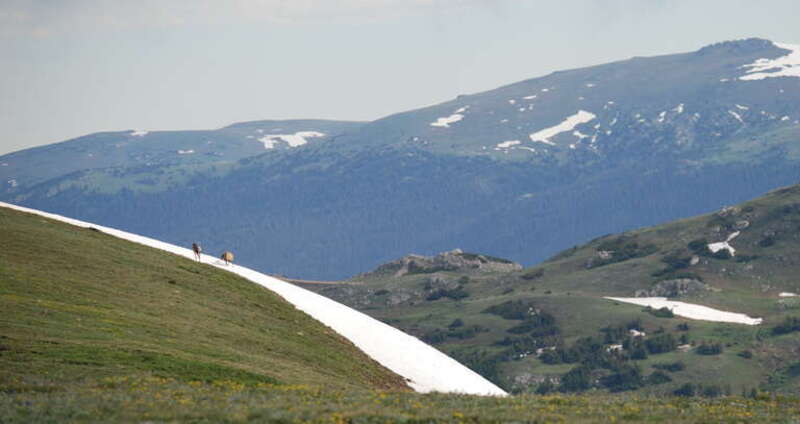 Fort Collins-Loveland, CO, CO, USA