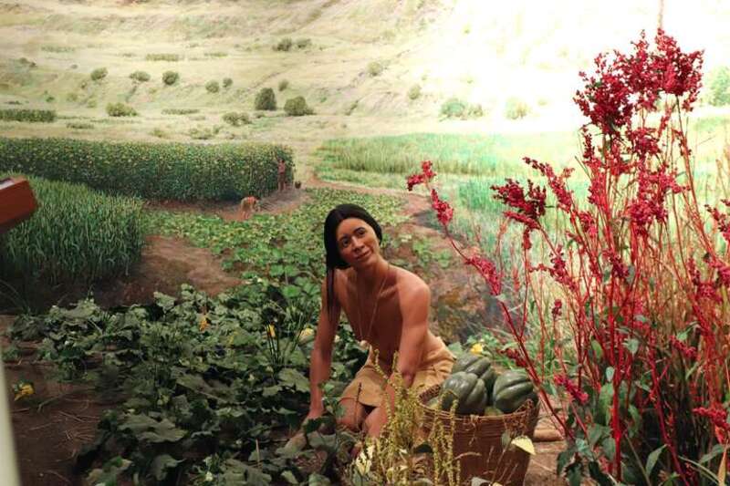 Indigenous peoples were able to create new strains and species of plants. This process was carried out through the domestication of various crops, such as maize, which was obtained from the wild teosinte grasses in Mexico. Today, almost all of the