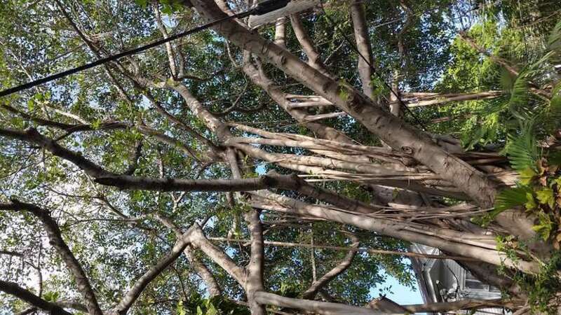 Key West, FL 33040, USA