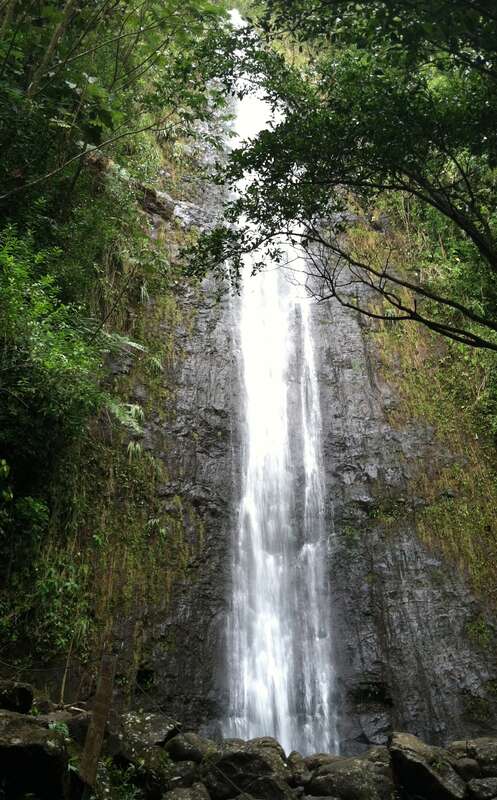 Manoa Falls, photo taken after heavy rain falls.
