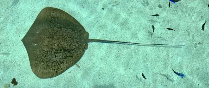 National Aquarium in Baltimore, Maryland