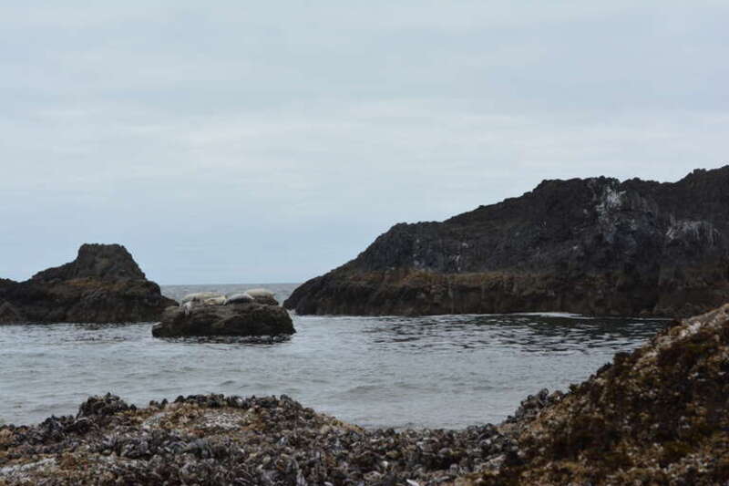 This is an image of a place or building that is listed on the National Register of Historic Places in the United States of America. Its reference number is 97001007.