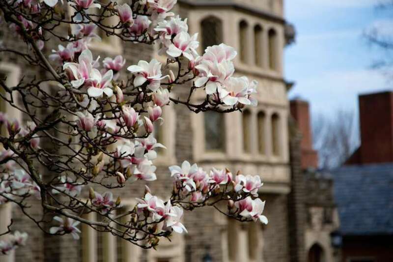 Spring at Princeton University