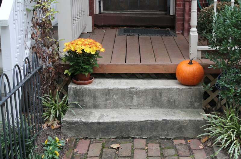 HALLOWEEN in 1300 block of T Street, NW, Washington DC on Tuesday morning, 27 October 2015 by Elvert Barnes Photography
Logan Circle Neighborhood

HALLOWEEN 2015 Street Photography Project