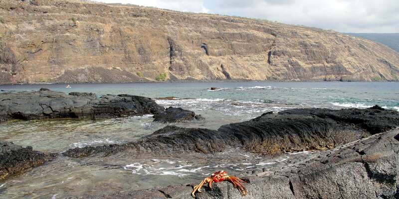 Иллюcтрация для викиучебника b:ru:Гавайеведение